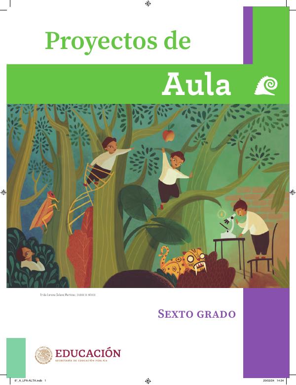 Proyecto de Aula 6° Grado