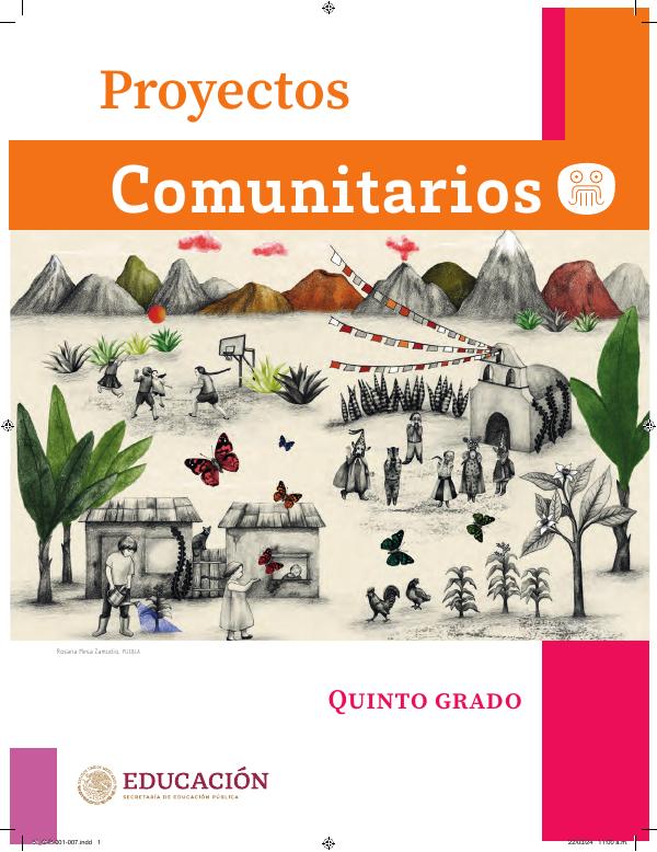 Proyecto Comunitario 5° Grado